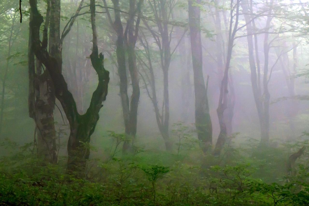 гостиница Discover Kinchkha Satsiskvilo Экстерьер фото